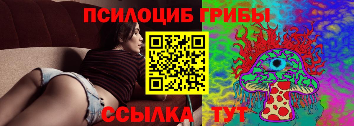 Псилоцибиновые грибы мухоморы Луховицы
