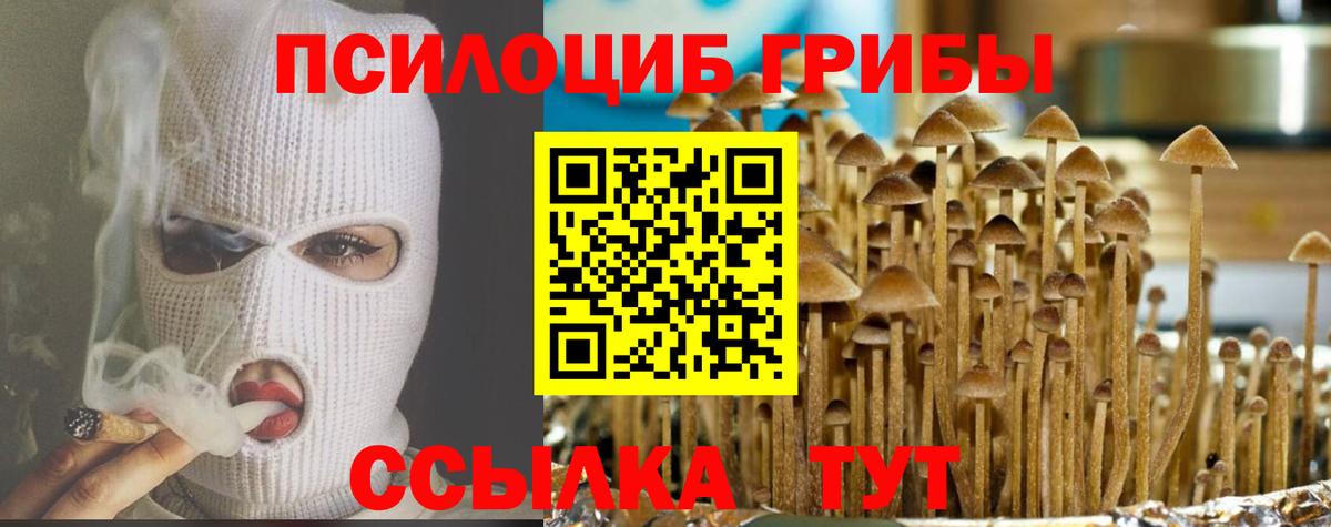 Псилоцибиновые грибы GOLDEN TEACHER  Вход с VPN  Галлюциногенные грибы Magic Shrooms  Луховицы 